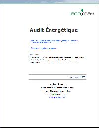 Audit nergtique